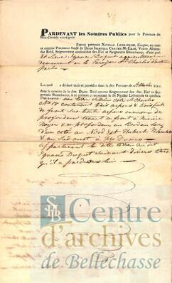 Open original Document numérique