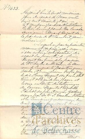 Open original Document numérique