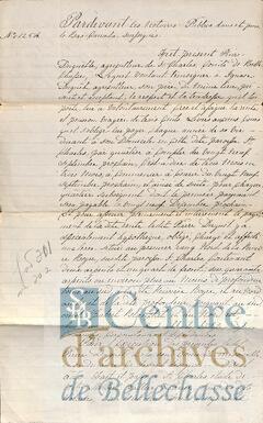 Open original Document numérique
